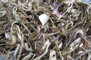 Bông atiso khô