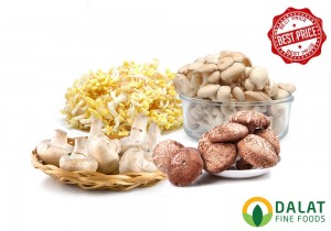 Combo nấm family