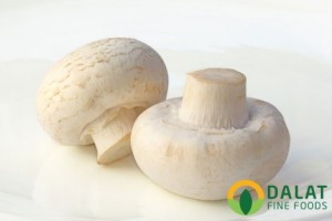 Nấm Nút