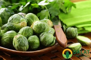 Bắp Cải Ngọt Baby