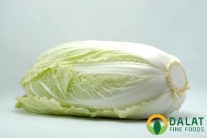 Cải Thảo