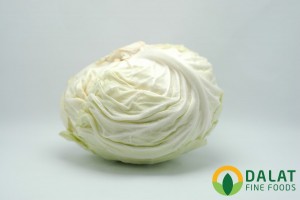 Bắp Cải Trắng