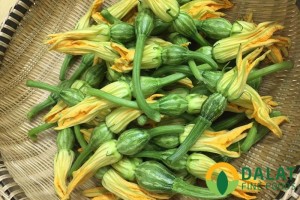 Bông bí nụ