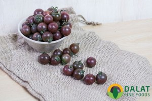 Cà Chua Cherry Chocolate (ngọt)