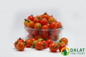 Cà Chua Picota Đỏ