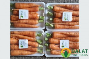 Cà rốt Baby