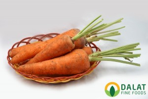 Cà Rốt