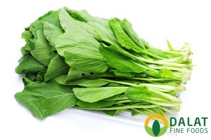 Cải ngọt