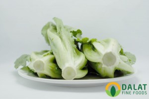Xà lách ROMAINE Xanh