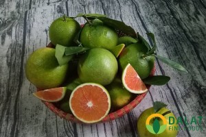 Cam Cara (Giống Úc)