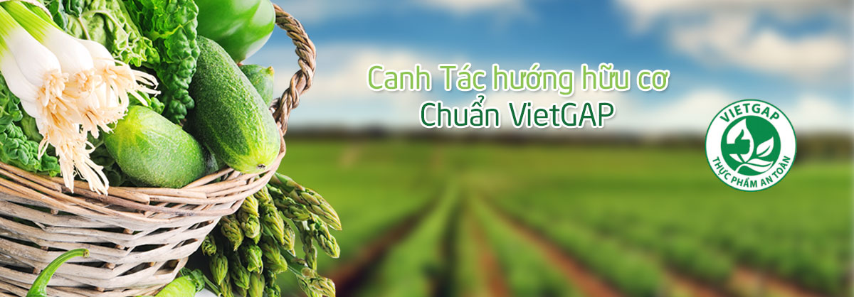 Vietgap