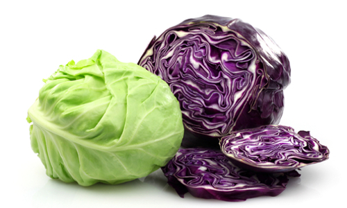 cabbage 2
