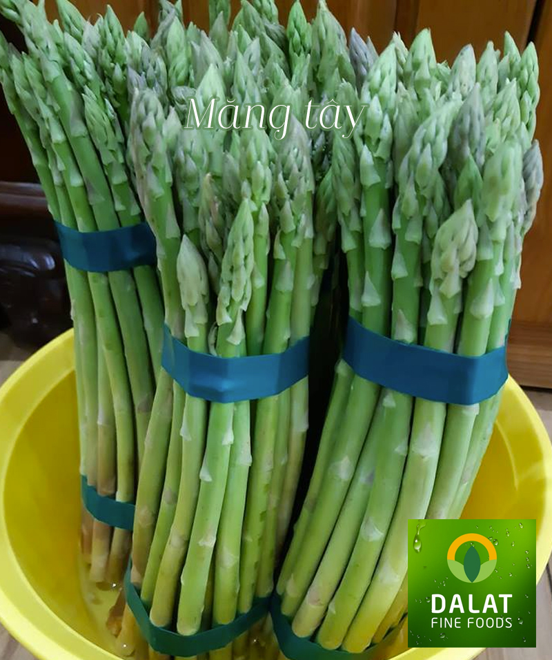 Măng tây Dalat Fine Foods