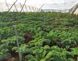 20160902-161215-Copy.jpg