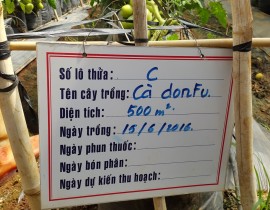 20160903-090400-Copy.jpg