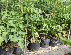 20160903-090430-Copy.jpg
