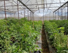 20160903-090434-Copy.jpg