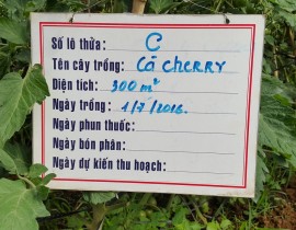 20160903-090548-Copy.jpg