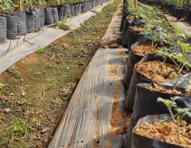 20160903-090652-Copy.jpg